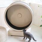 Penn-Plax Spin Kitty Cat Wheel