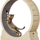 Homegroove Cat Running Wheel