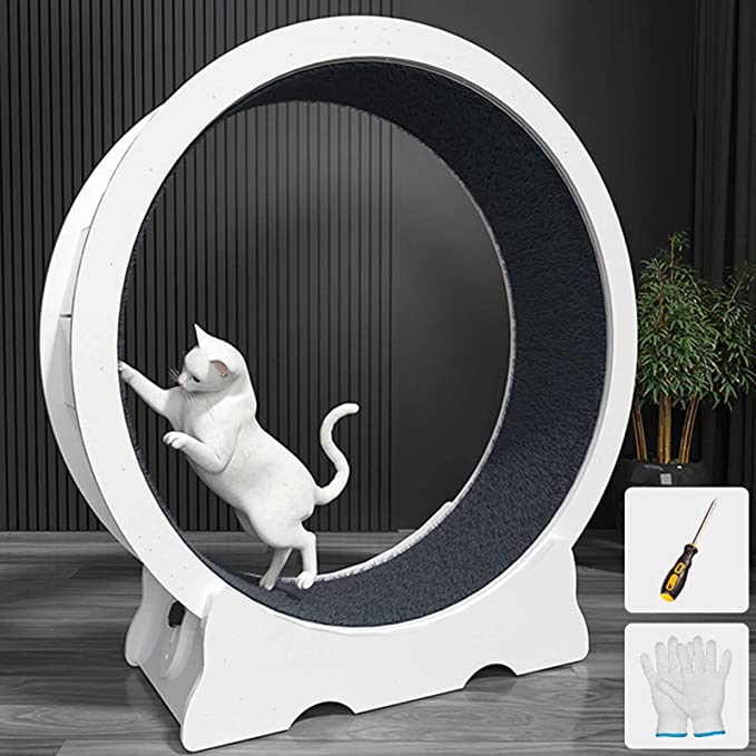 Best cat outlet wheel