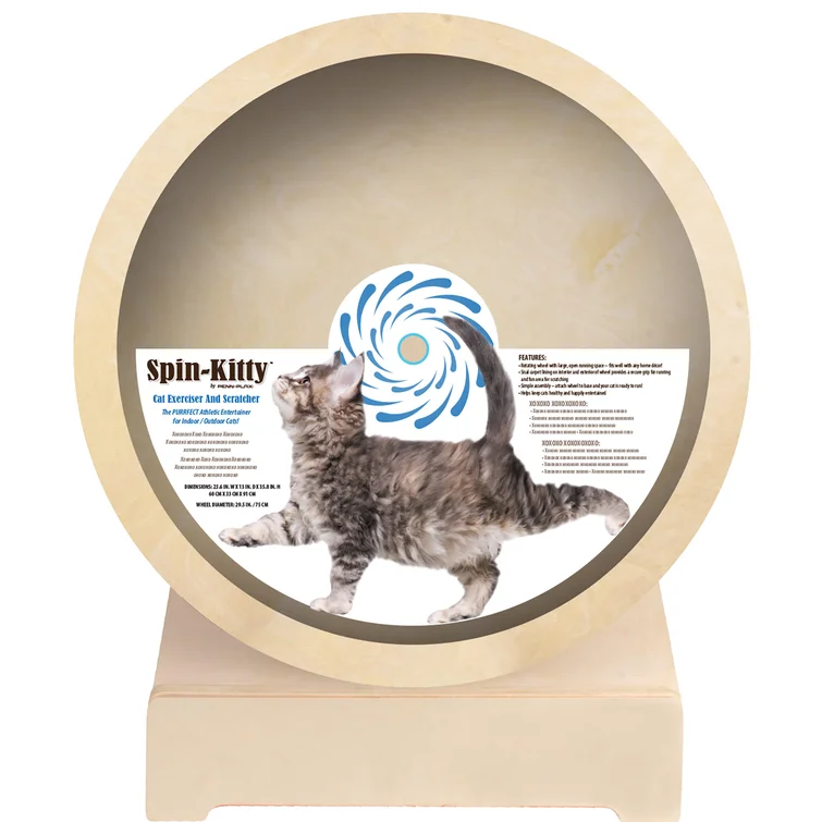 One Fast Cat Exercise Wheel Review See What Our Kitty Tester Thought About This Cool Product Paw of Approval The Dodo