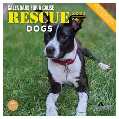 Because who doesn’t love a rescue story?: 2023 Rescue Dogs Wall Calendar