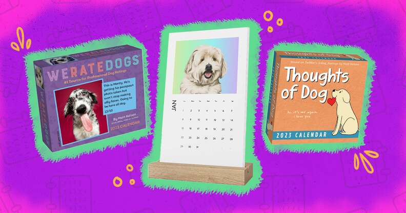Dog Calendar: 9 Cute Options To Keep You Organized In 2024 ...