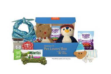 Give your pup a little bit of everything (plus something exclusive!): Walmart Pet Lovers' Box With The Dodo