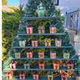 Mom Creates Special Advent Calendar For All The Dogs Walking By Her House