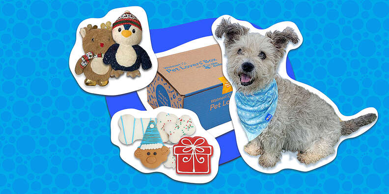 GOODY BOX Summer Dog Toys, Treats & Bandana, Small/Medium 