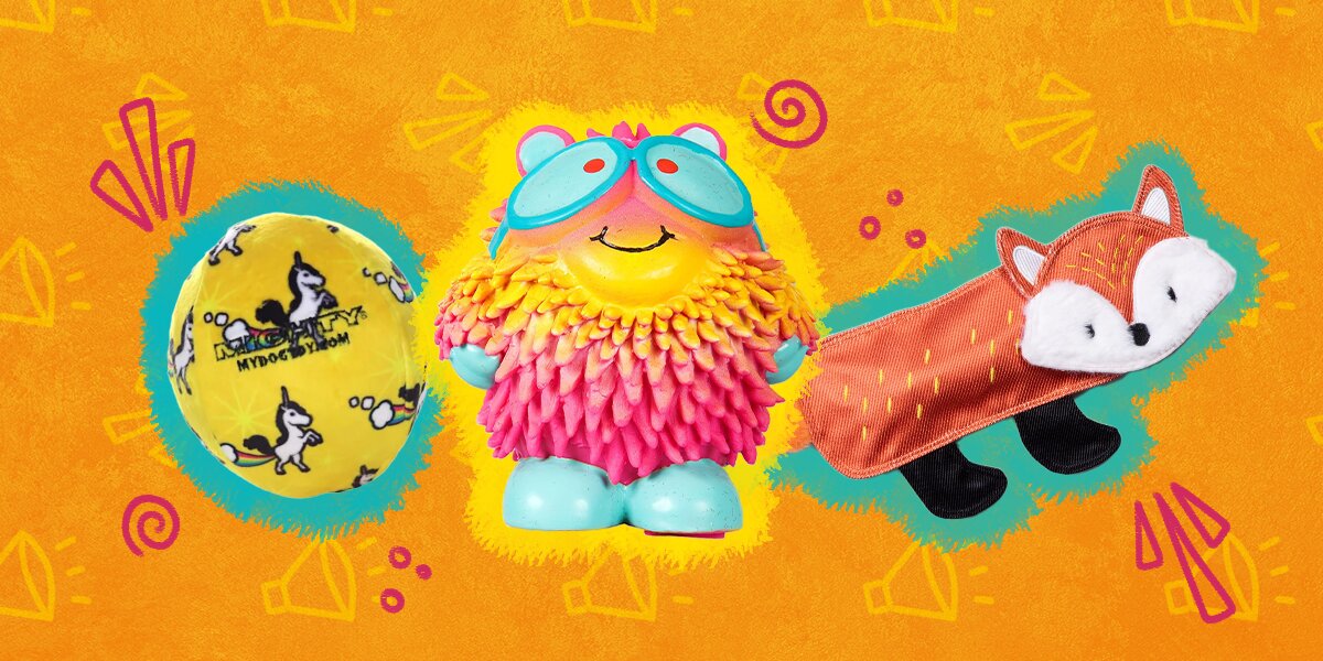 Squeaky Toys For Dogs: The Best Ones For Squeak Lovers Who Can’t Get