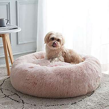 A comfy spot to relax: Best Friends by Sheri The Original Calming Donut Dog Bed