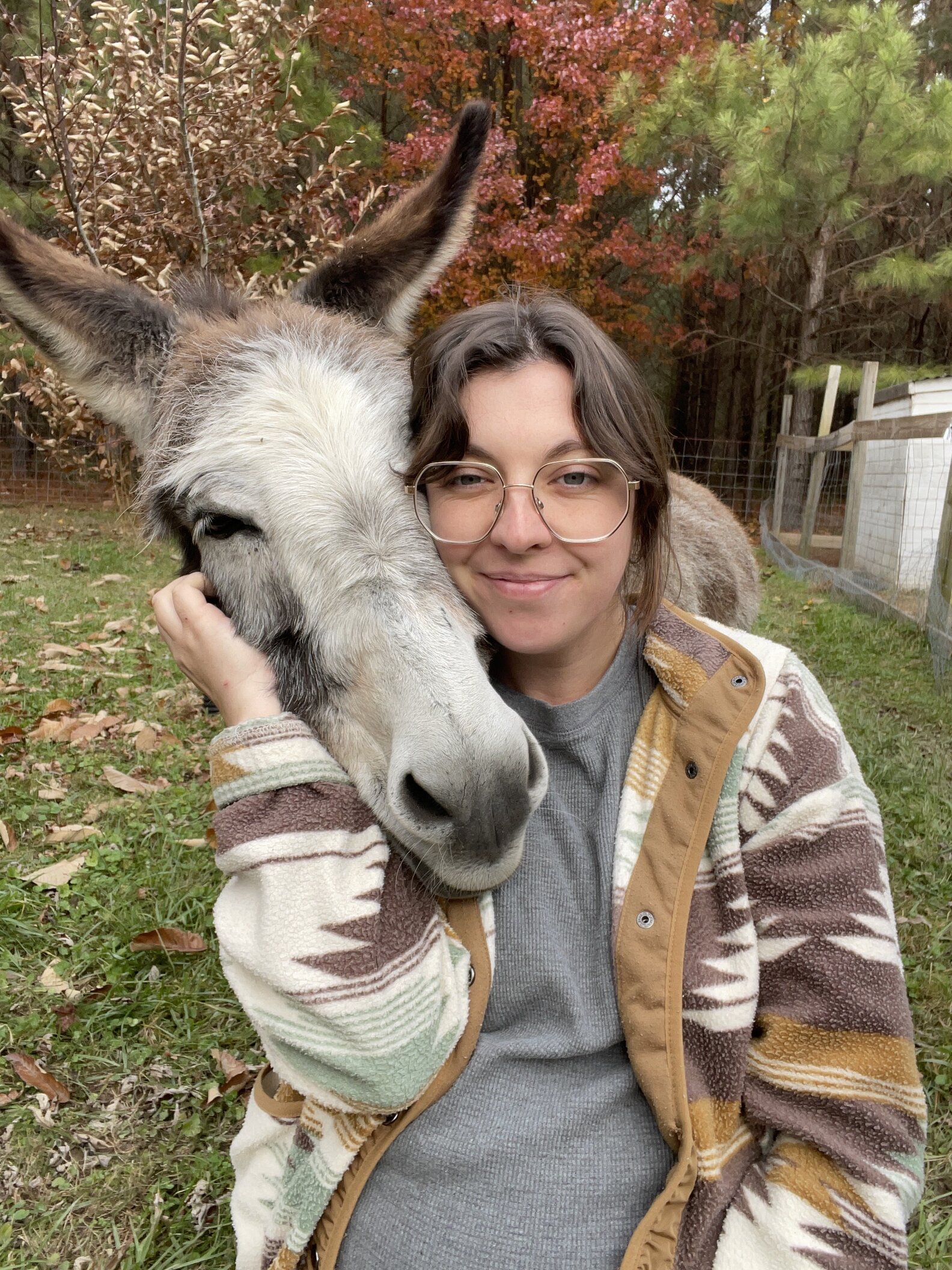 Woman And Neighbor's Donkey Become Best Friends After Hard Times - The Dodo