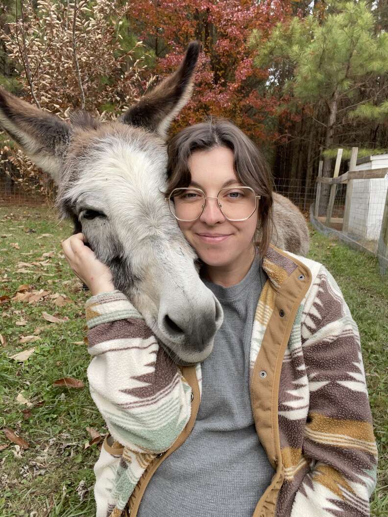 donkey