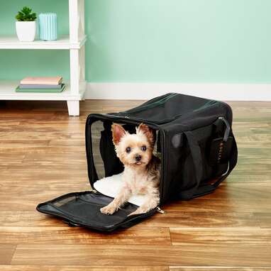 For the dog who likes to be on the go with you: Sherpa Delta Airline-Approved Dog & Cat Carrier Bag