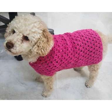 Crochet Dog Sweater: 12 Adorable Picks To Buy Or Make Yourself ...