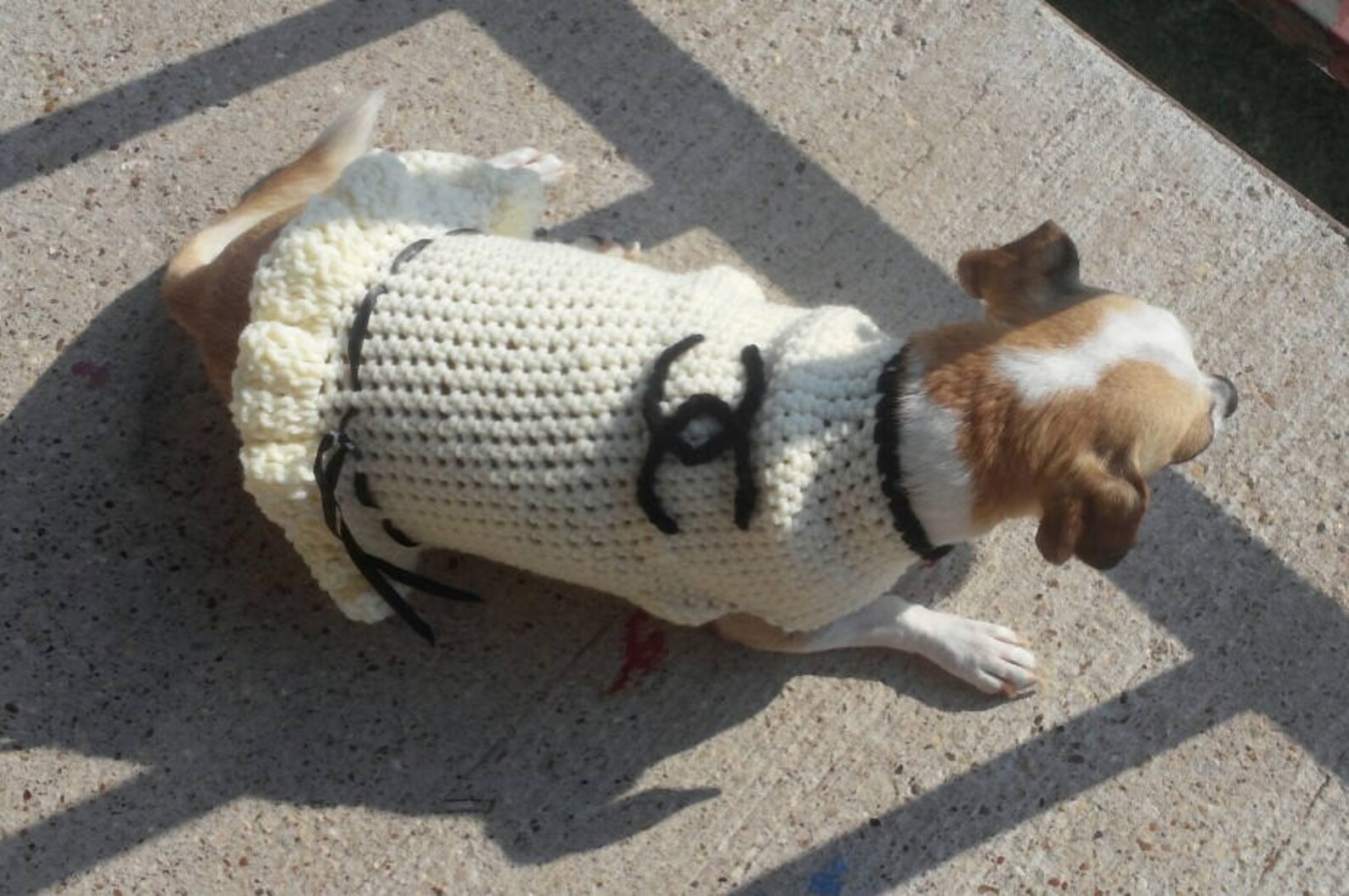 Crochet Dog Sweater: 12 Adorable Picks To Buy Or Make Yourself