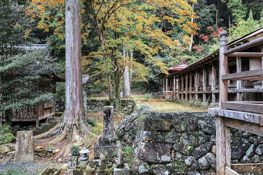 japan pilgrimage
