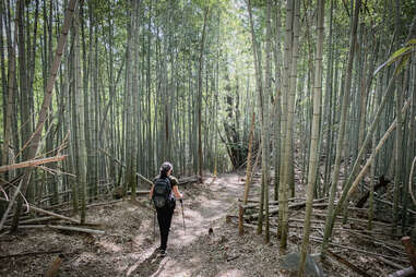 temple hike