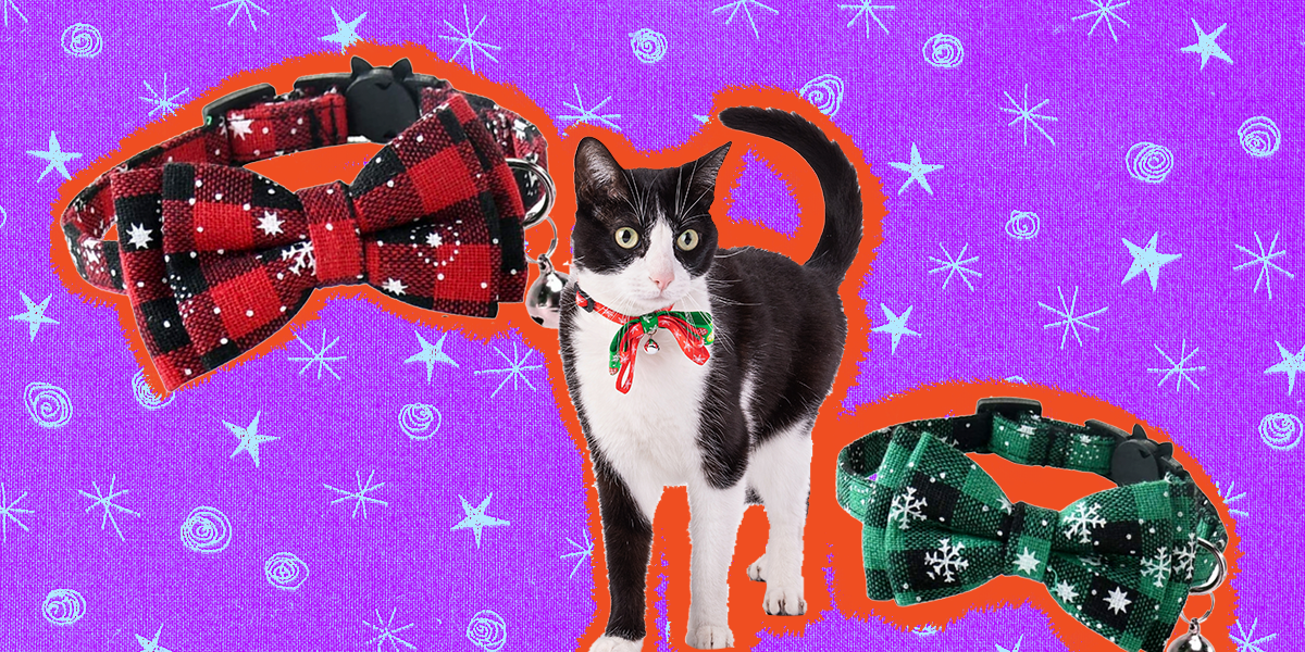 Christmas Cat Collar The Cutest Ones For Your Festive Feline