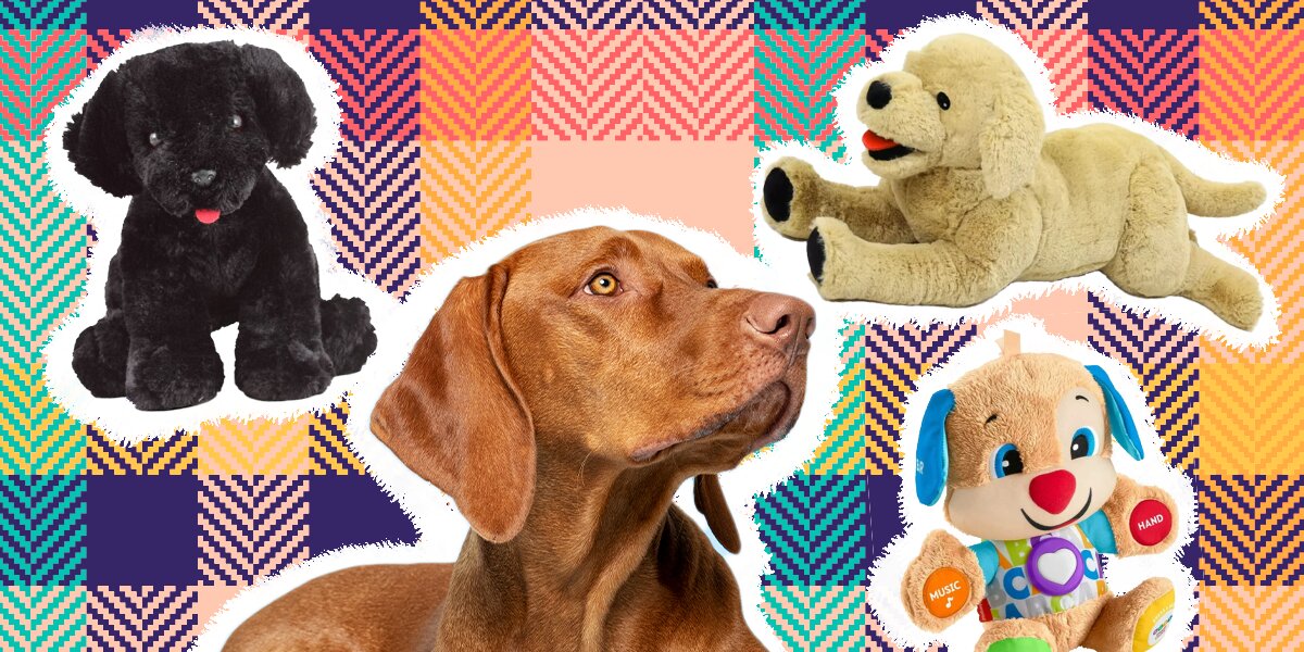 11 Best Dog Puzzle Toys On  - DodoWell - The Dodo