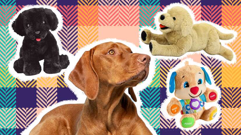 Dog Plush Toys - Stuffed Animals For Dogs & Puppies