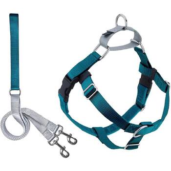 Puppy leash deals