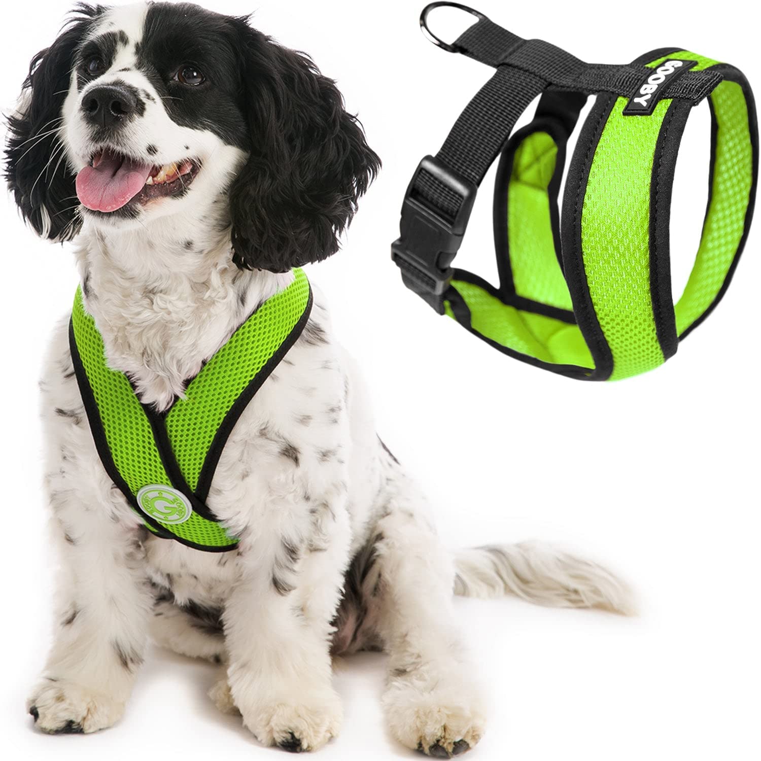 Best harness store for growing puppy