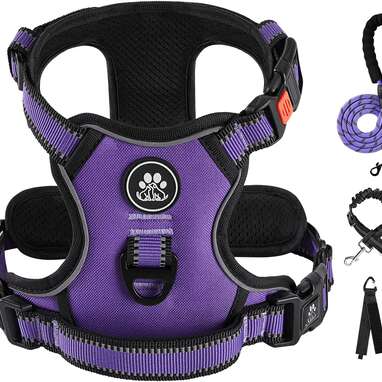 Harness for 8 week old puppy best sale