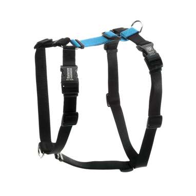 The runner-up: Blue-9 Balance No-Pull Dog Harness