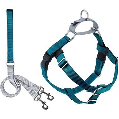 Best overall puppy harness: 2 Hounds Freedom Harness