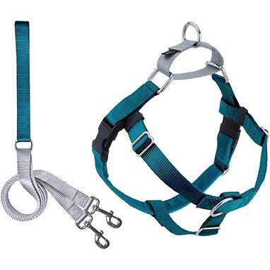 Chewy Classic Designer Harness For Dogs