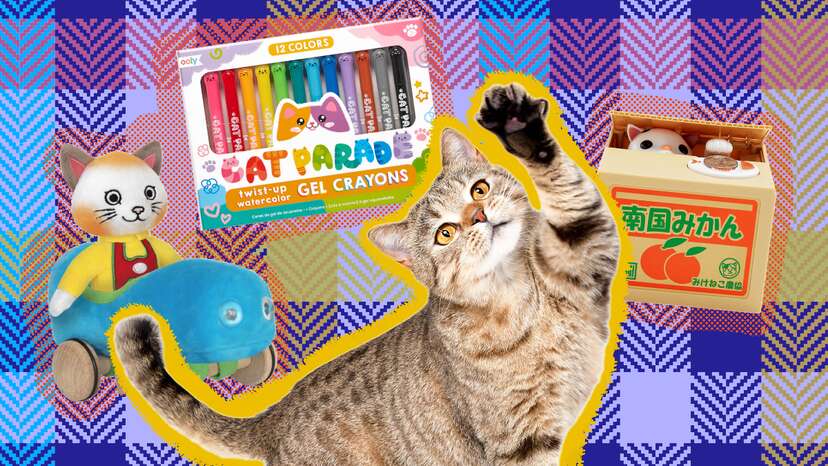 Ooly Cat Parade Gel Crayons