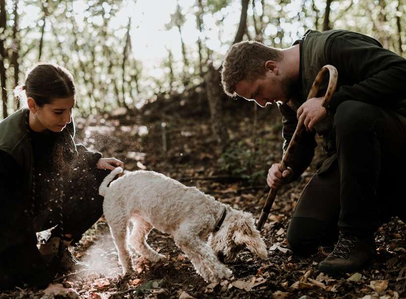 Truffle hunting in Piedmont, Italy