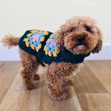 Crochet dog outlet jumper