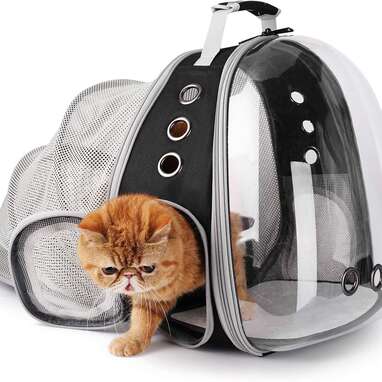 Frisco Collapsible Cat Carrier Bag, Animal Sketch