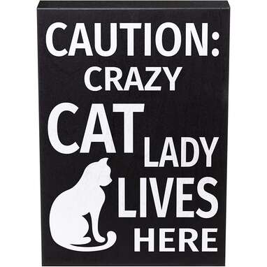 And this is a problem because why?: JennyGems Crazy Cat Lady Wood Sign