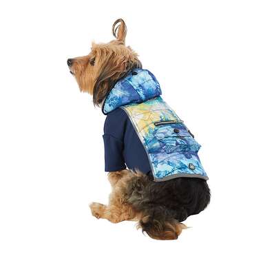 Dog coat sales with led lights