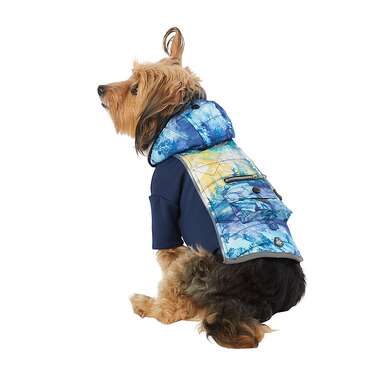 Dog coat with outlet led lights