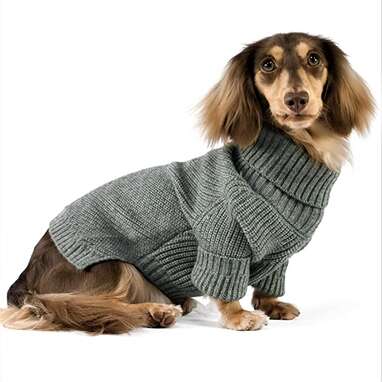 Dog warm clothes deals
