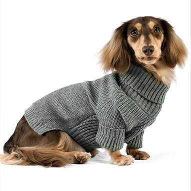 Dog 2024 winter cloth