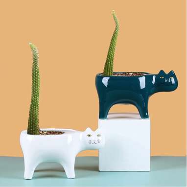 For a cat lover who loves plants, too: Yuccasly Succulent Plant Pot