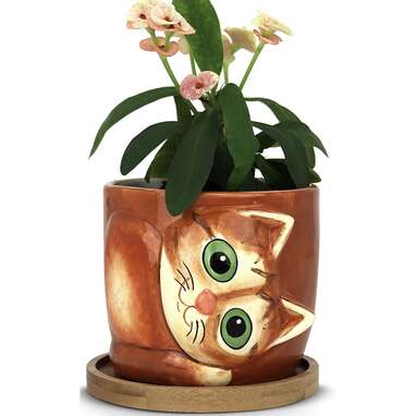 The perfect cat-themed home decor gift: Window Garden Animal Planters Large Kitty Pot