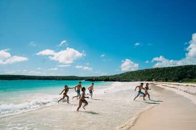 people on a beach