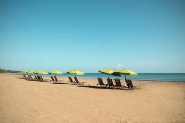 beach chairs on the sand