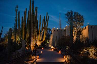 Desert Botanical Garden