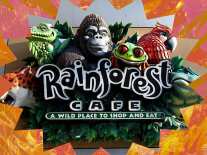 Rainforest Cafes Are Still Popular within the US and Canada