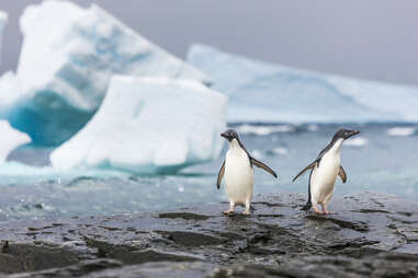 South Orkney Islands