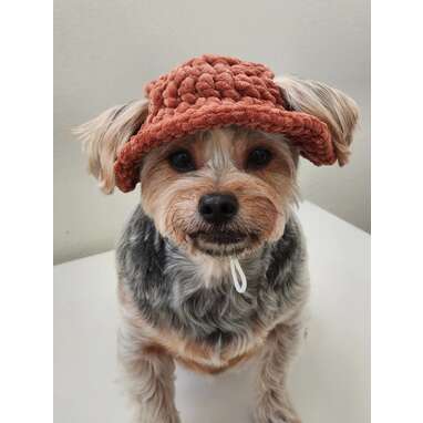 Crochet dog beanie sale