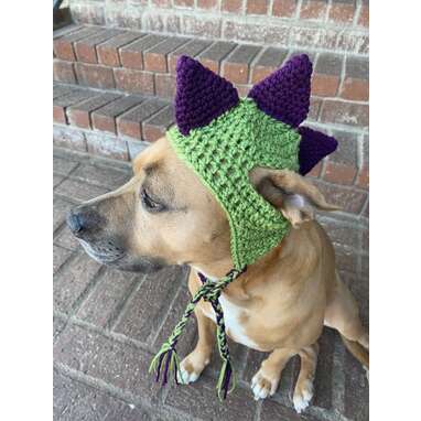 Crochet Dog Hat: 11 Adorable Picks To Keep Your Pup's Head Protected -  DodoWell - The Dodo