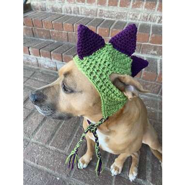 Dog with hotsell dinosaur hat