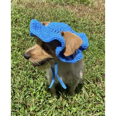 Crochet cheap dog hat