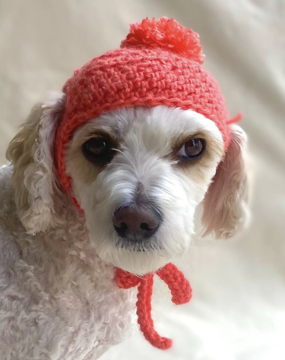 Crochet hotsell dog beanie