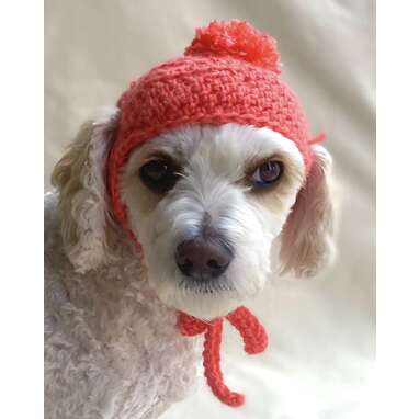 Dog Hat Ear Flap Dog Hat Dog Beanie Pom Pom Hat for Dogs 