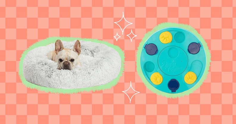 These 5 Interactive Dog Toys Are All Under $16 at